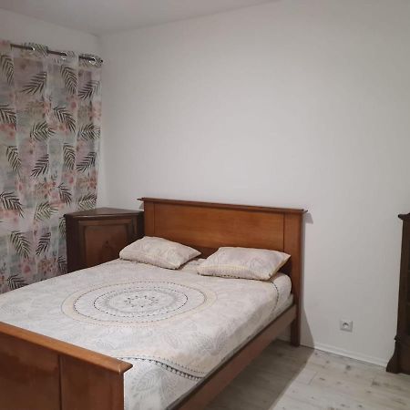 Apartament Chez Bernadette Vandoeuvre-lès-Nancy Zewnętrze zdjęcie